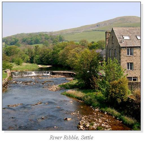 River Ribble, Settle Square Cards