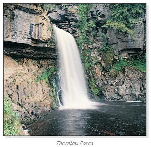 Thornton Force Square Cards