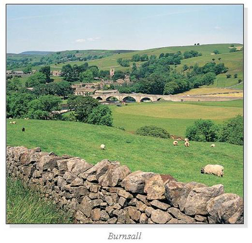 Burnsall Square Cards