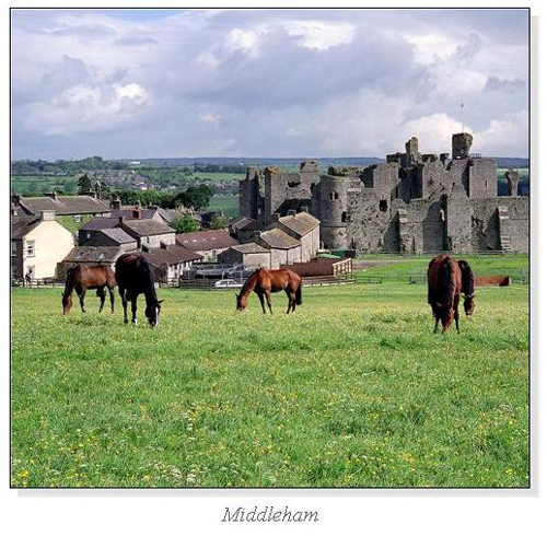 Middleham Square Cards