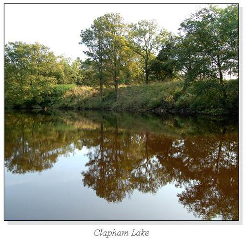 Clapham Lake Square Cards