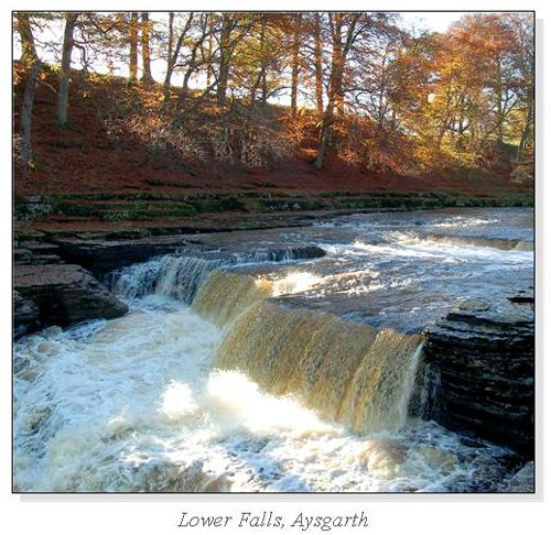 Lower Falls, Aysgarth Square Cards