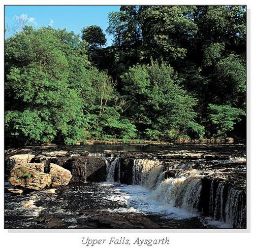 Upper Falls, Aysgarth Square Cards