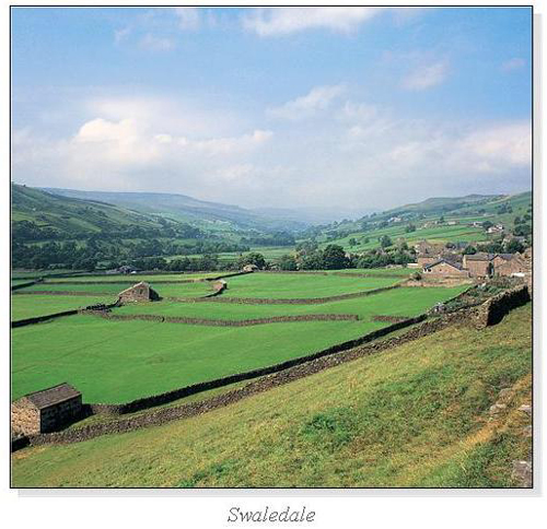 Swaledale Square Cards