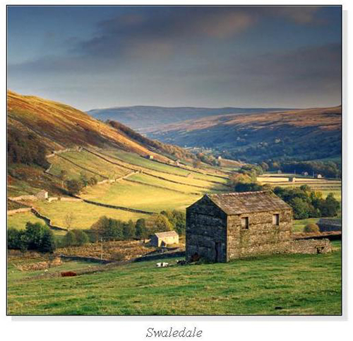 Swaledale Square Cards
