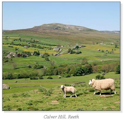 Calver Hill, Reeth Square Cards