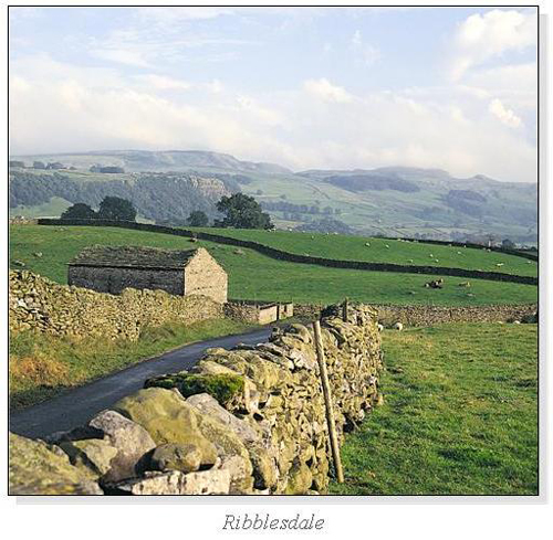 Ribblesdale Square Cards