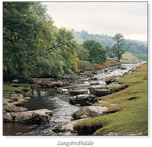 Langstrothdale Square Cards