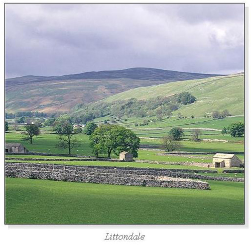 Littondale Square Cards