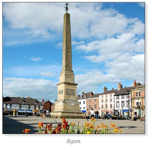 Ripon Square Cards
