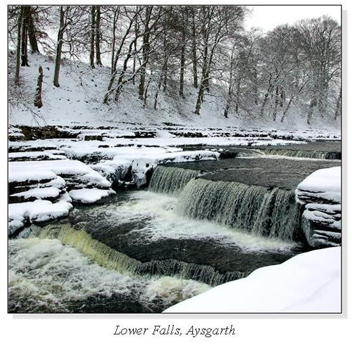 Lower Falls, Aysgarth Square Cards