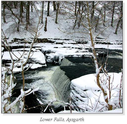 Lower Falls, Aysgarth Square Cards