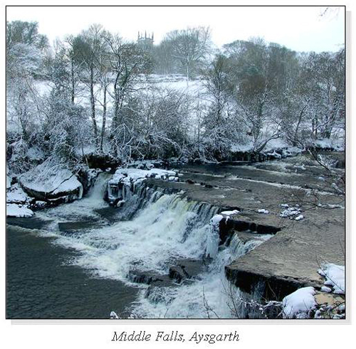 Middle Falls, Aysgarth Square Cards
