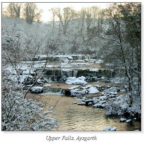 Upper Falls, Aysgarth Square Cards