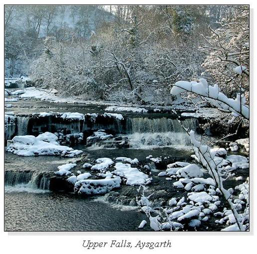 Upper Falls, Aysgarth Square Cards