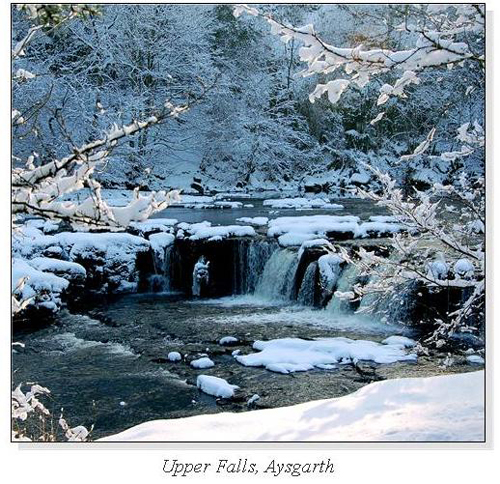 Upper Falls, Aysgarth Square Cards