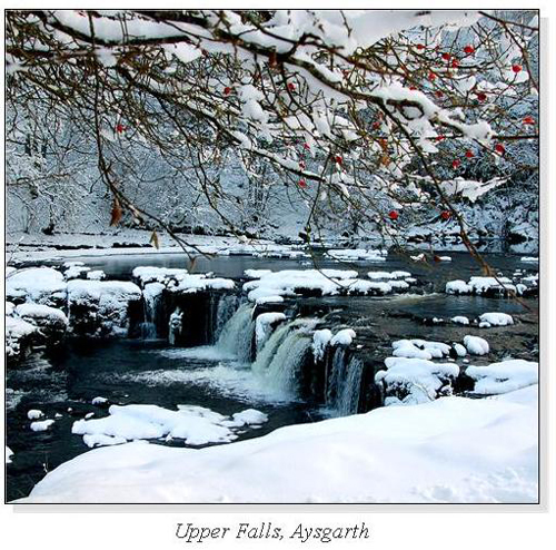 Upper Falls, Aysgarth Square Cards