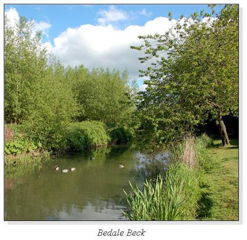 Bedale Beck Square Cards