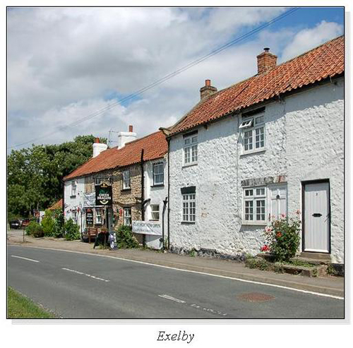 Exelby Square Cards