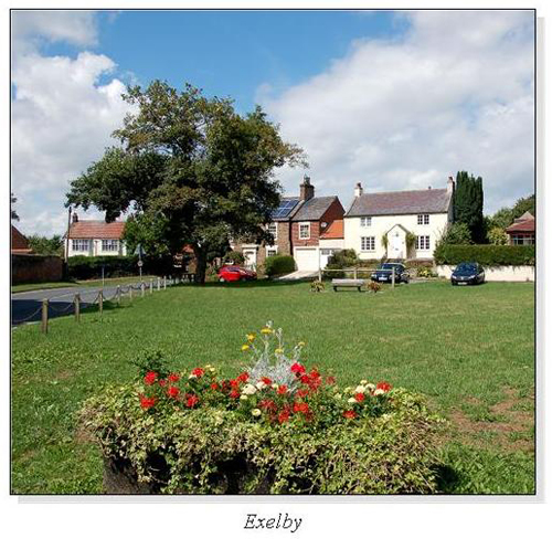 Exelby Square Cards
