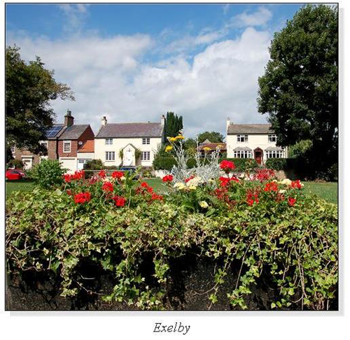 Exelby Square Cards