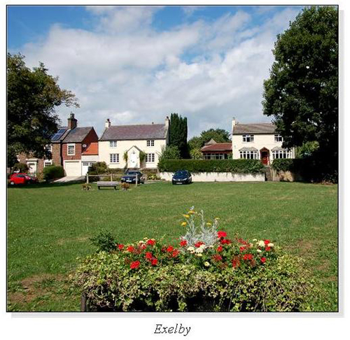 Exelby Square Cards