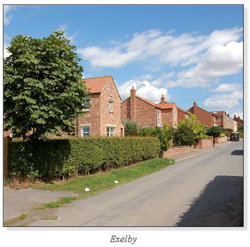 Exelby Square Cards