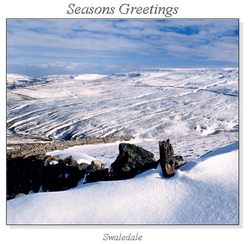 Swaledale Christmas Square Cards