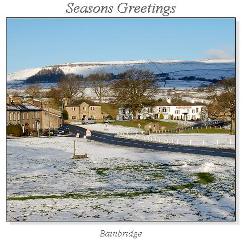 Bainbridge Christmas Square Cards