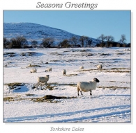 Yorkshire Dales Christmas Square Cards