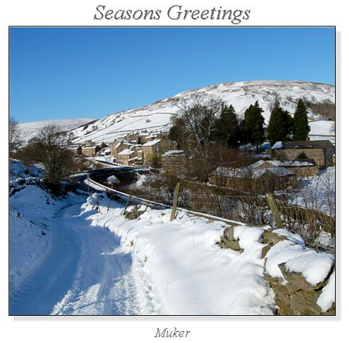 Muker Christmas Square Cards