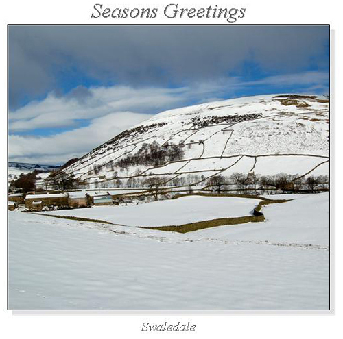Swaledale Christmas Square Cards