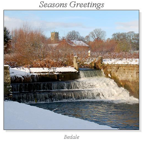 Bedale Christmas Square Cards