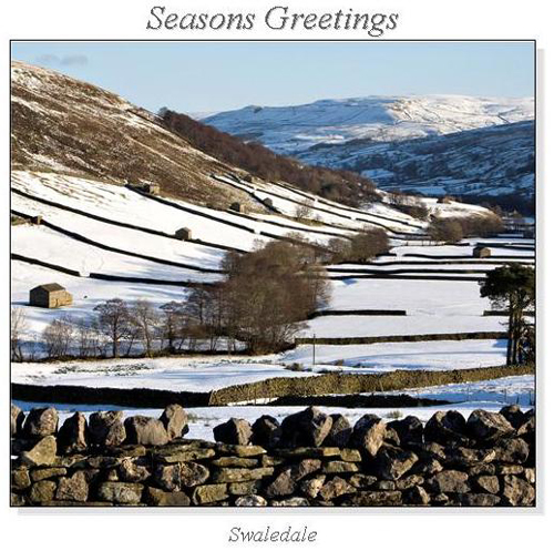 Swaledale Christmas Square Cards