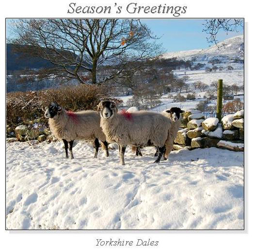 Yorkshire Dales Christmas Square Cards