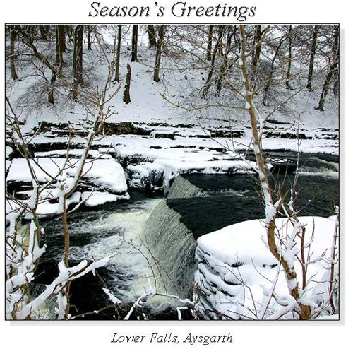 Lower Falls, Aysgarth Christmas Square Cards