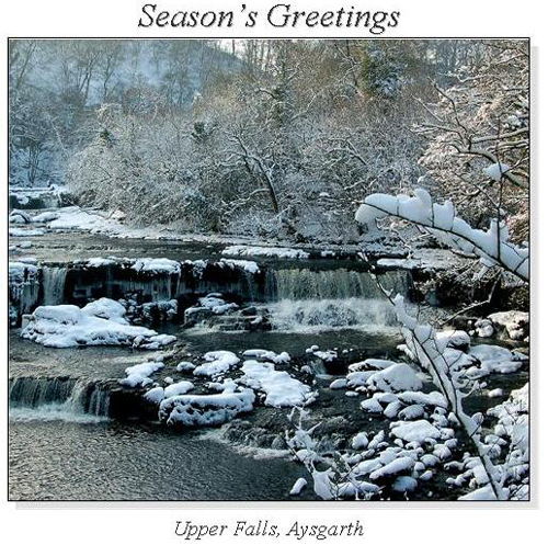 Upper Falls, Aysgarth Christmas Square Cards