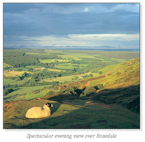 Spectacular evening view over Rosedale Square Cards