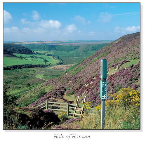 Hole of Horcum Square Cards