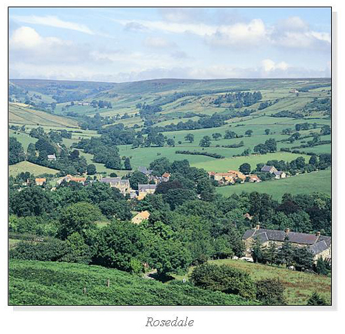 Rosedale Square Cards