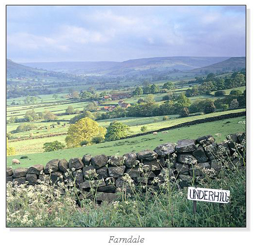 Farndale Square Cards