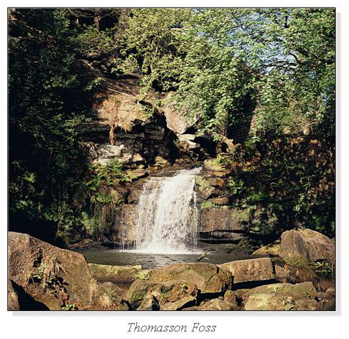 Thomasson Foss Square Cards 