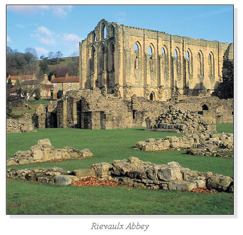 Rievaulx Abbey Square Cards
