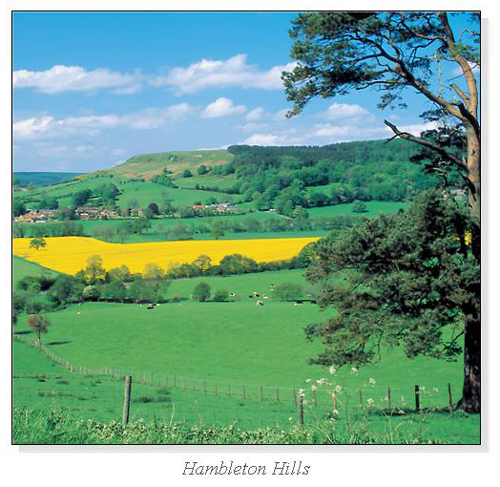 Hambleton Hills Square Cards