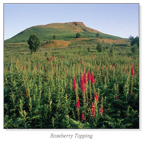 Roseberry Topping Square Cards