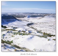 North York Moors Square Cards