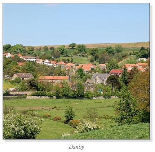 Danby Square Cards