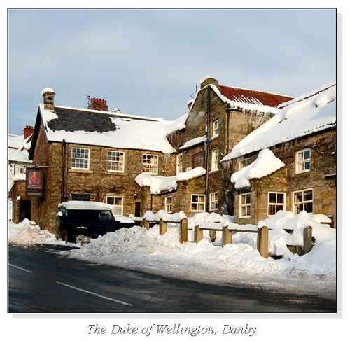 The Duke of Wellington, Danby Square Cards
