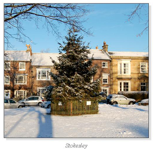 Stokelsey Square Cards