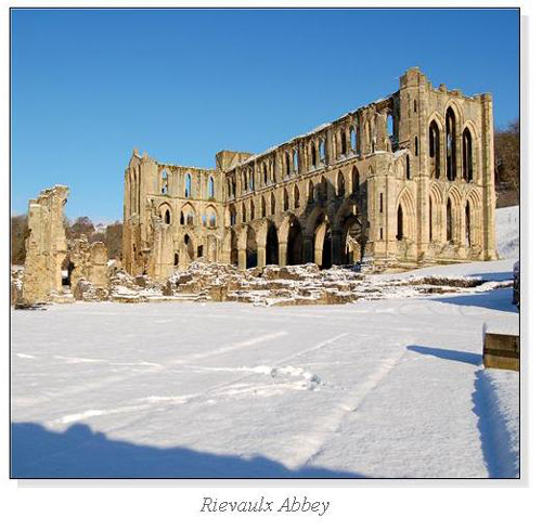 Rievaulx Abbey Square Cards